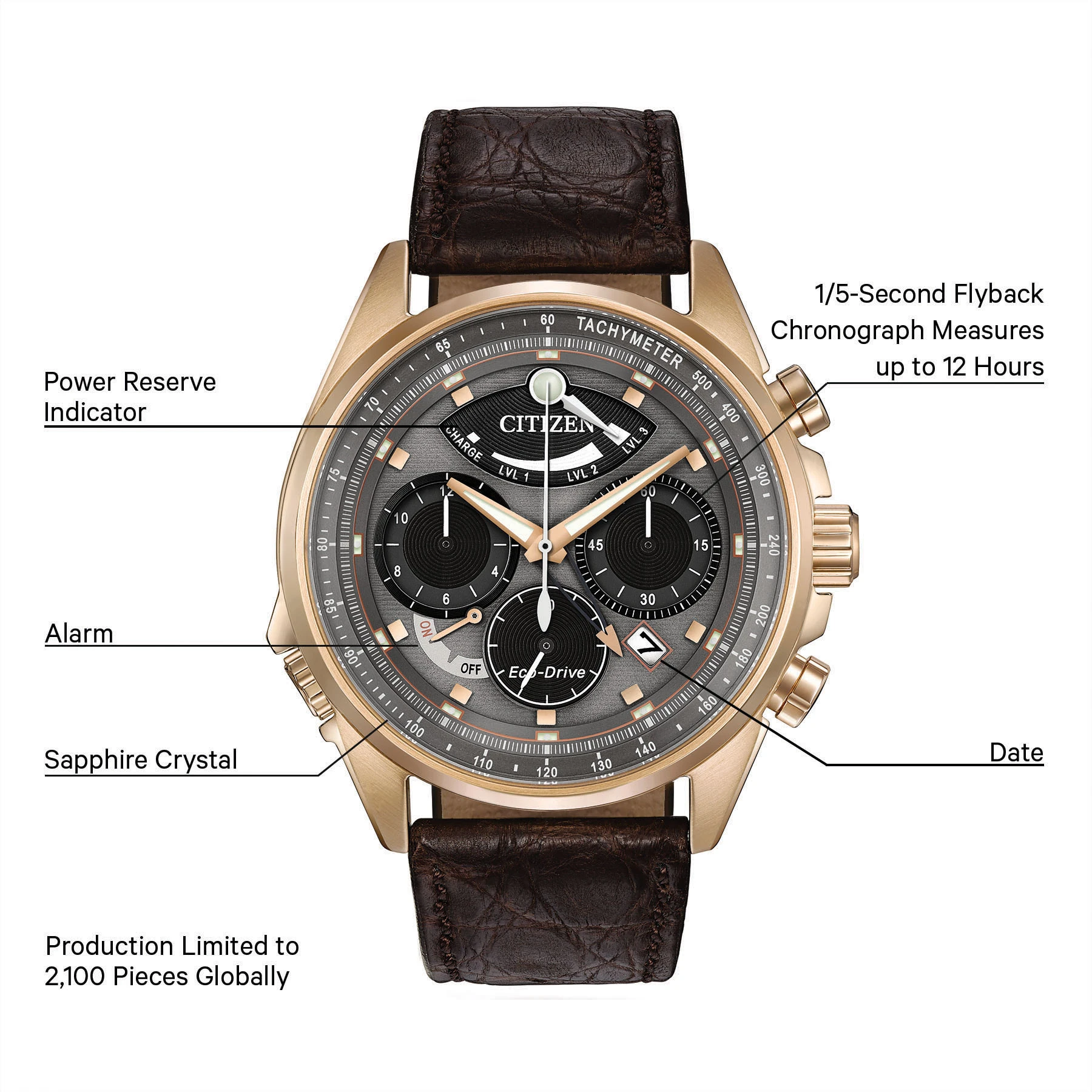 Caliber 2100 Gray Dial Genuine Crocodile Strap AV0063-01H | CITIZEN